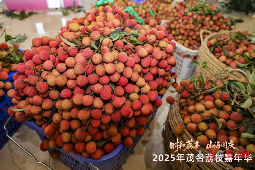p202505/19/lizhi3_BAMhPqm1lrb3.png
