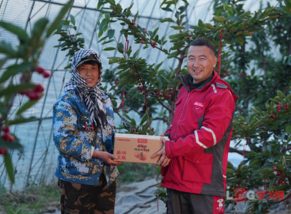 p202504/18/jingdongwuliu4_ZKYeRK4Pa1k0.png